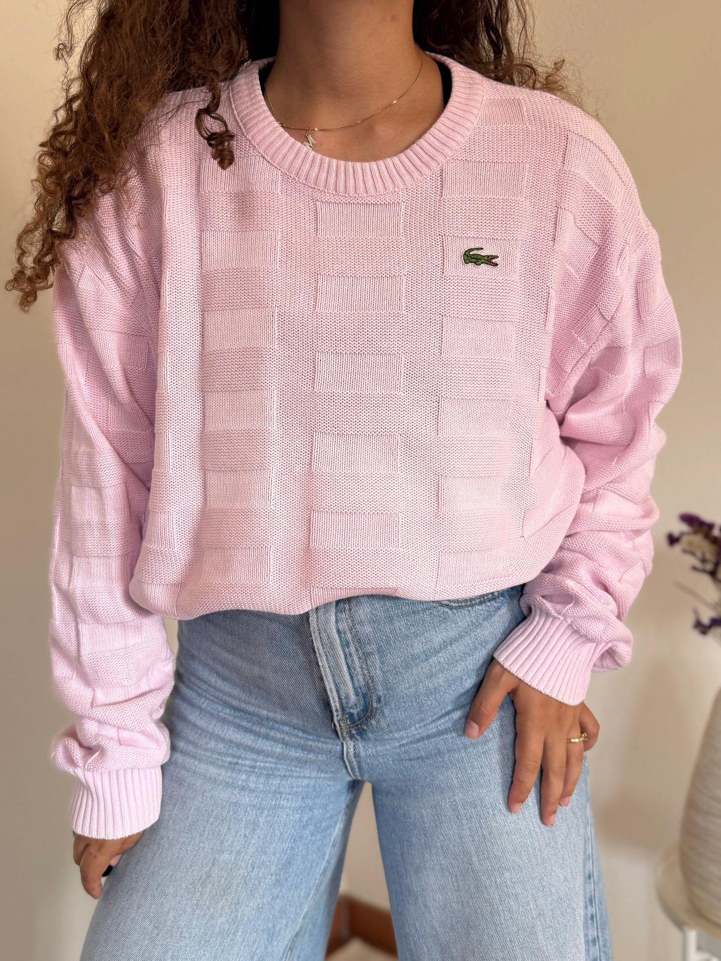 Camisola Lacoste 100% cotton