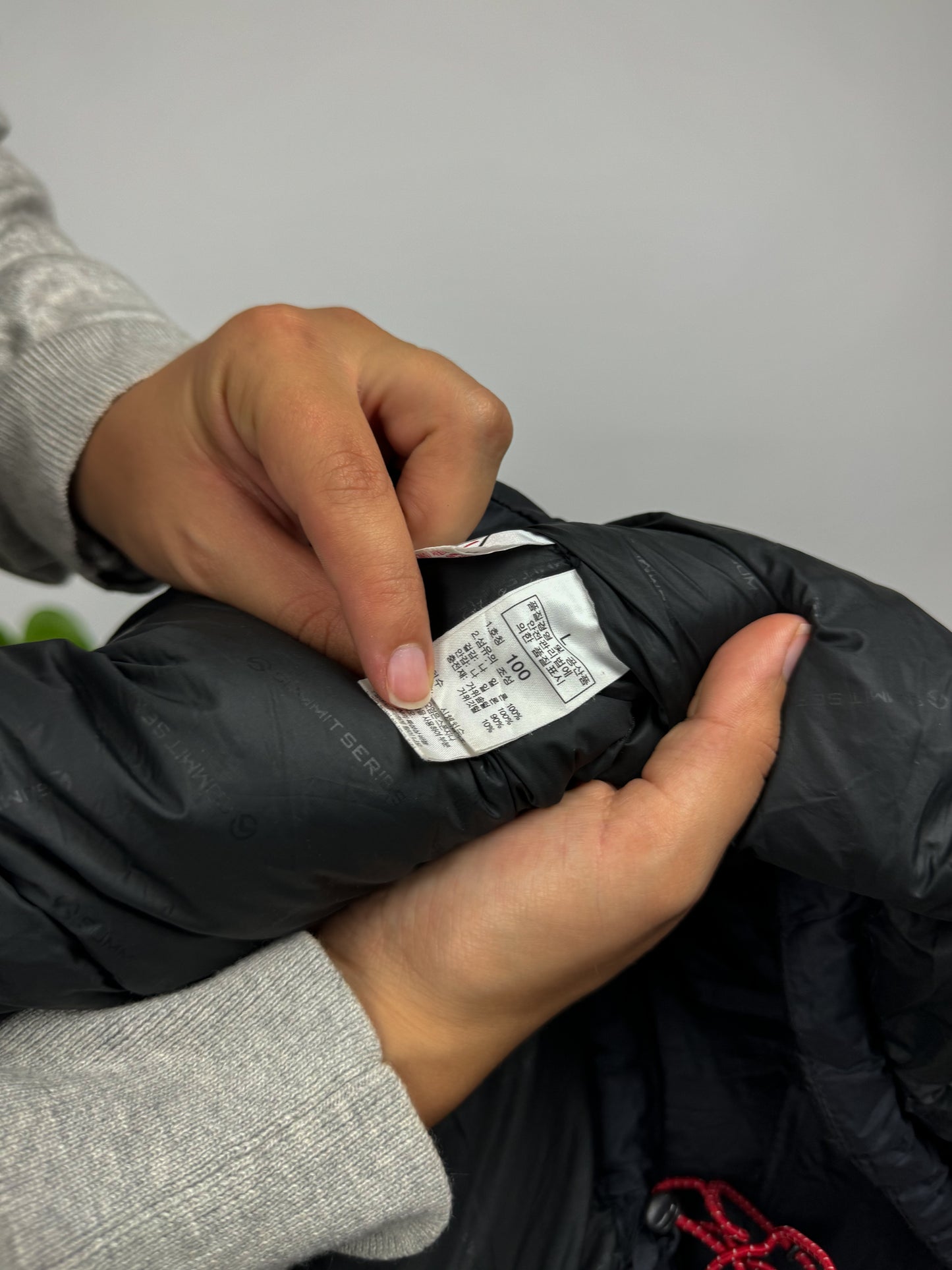 Original The North Face Puffer Jacket Summit Series 800