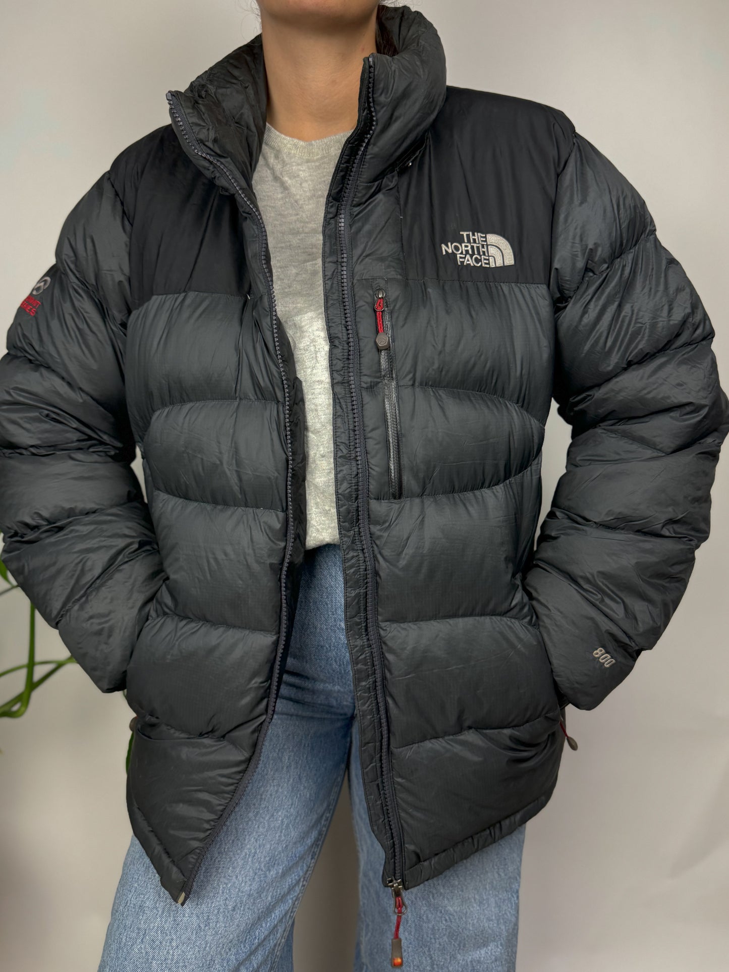 Original The North Face Puffer Jacket Summit Series 800