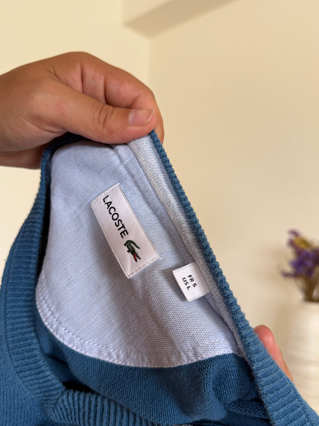 Lacoste V-Neck Sweater