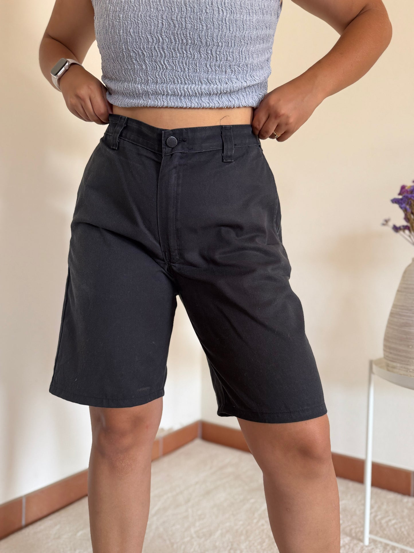 Calções Dickies