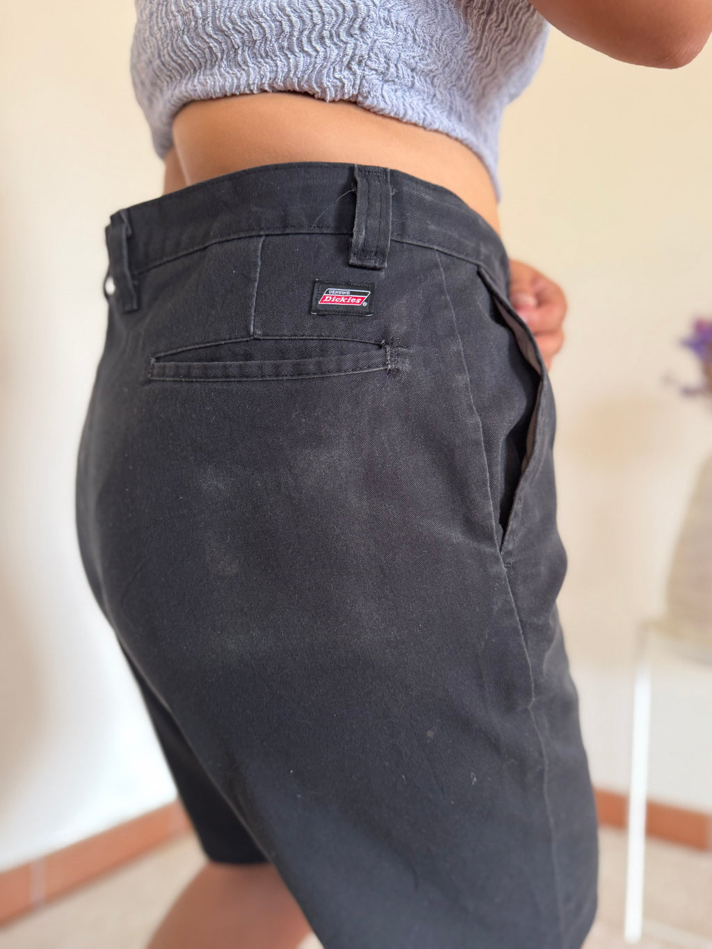 Calções Dickies