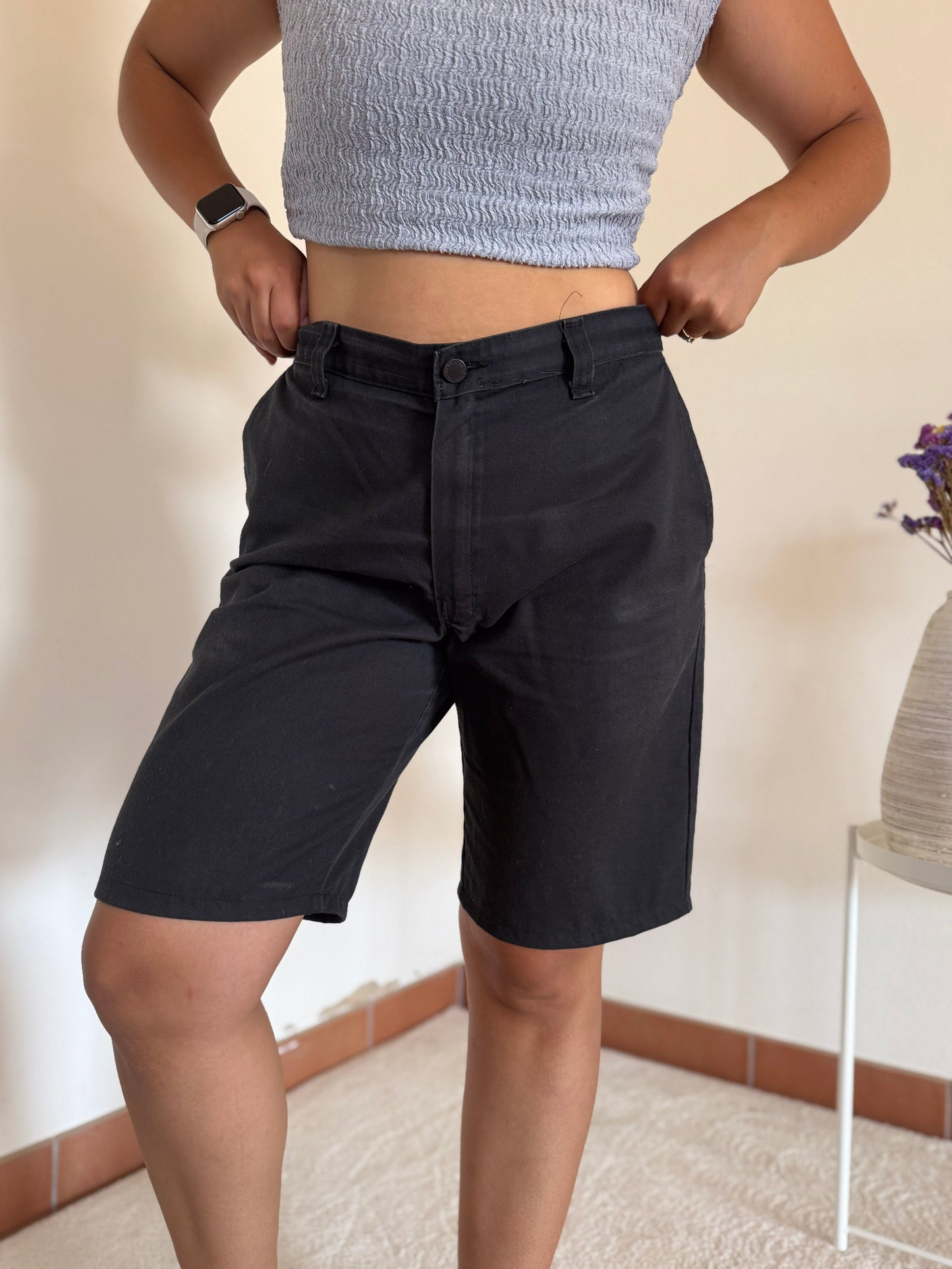 Calções Dickies