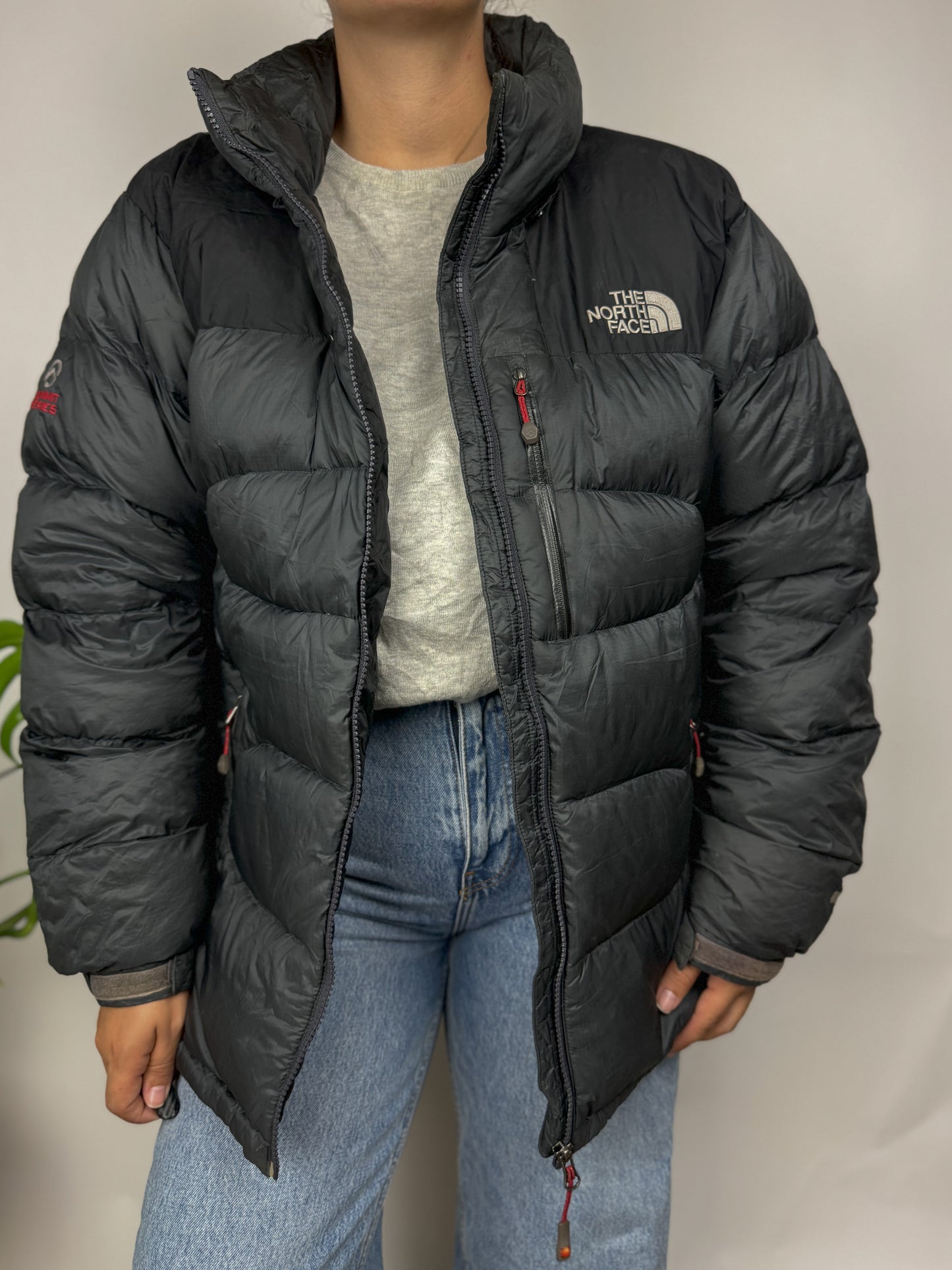 Original The North Face Puffer Jacket Summit Series 800