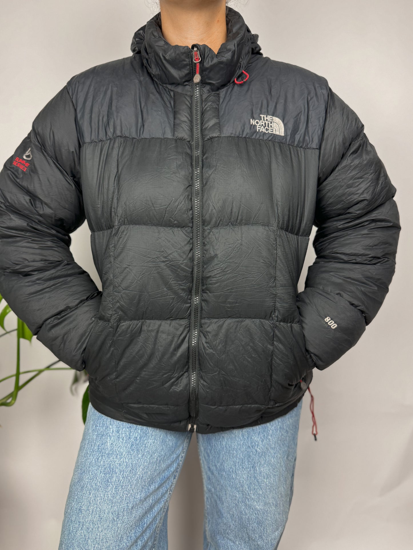 Original The North Face Puffer Jacket Summit Series 800