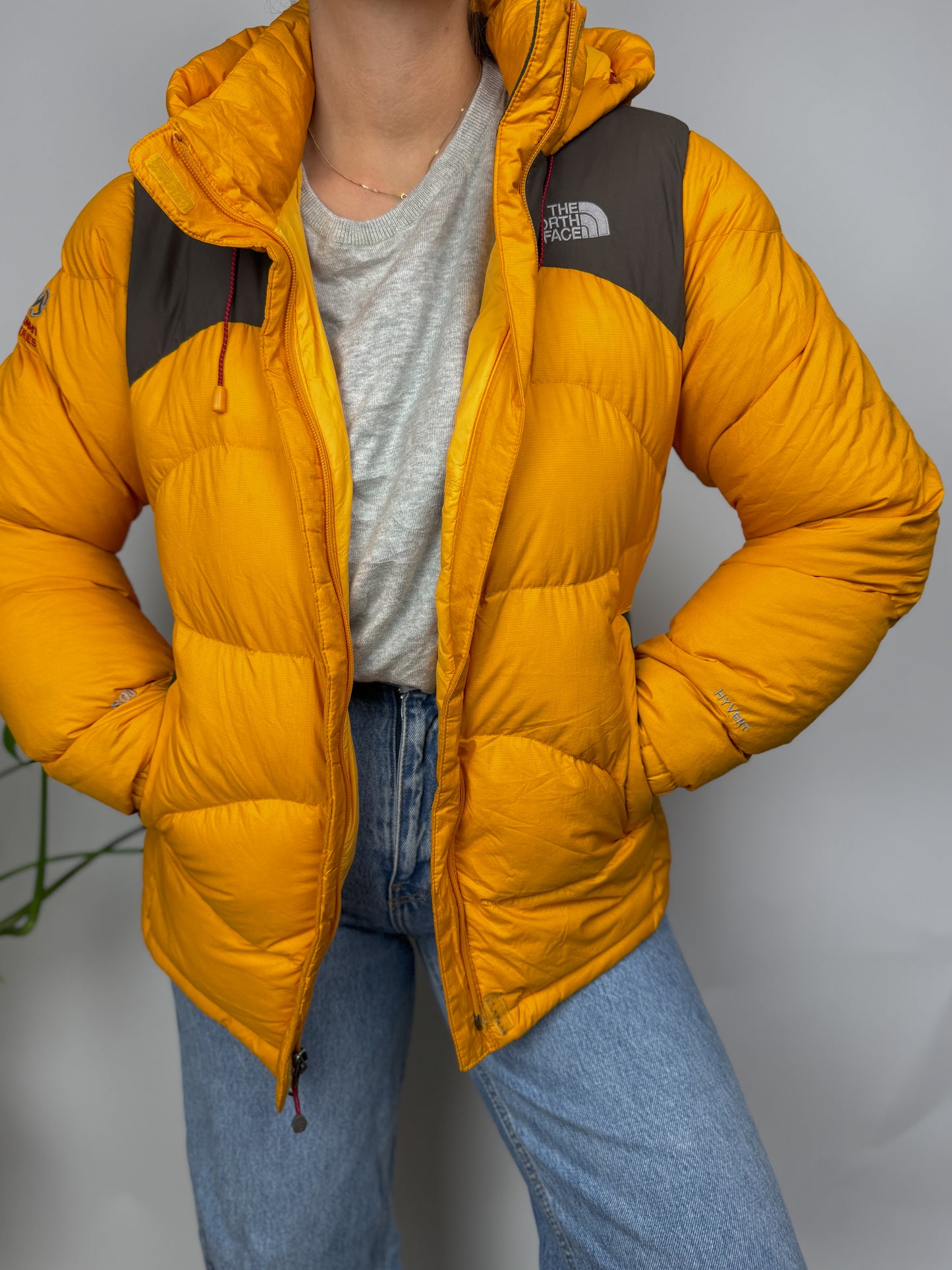 Original The North Face Puffer Jacket Summit Series Hyvent 800