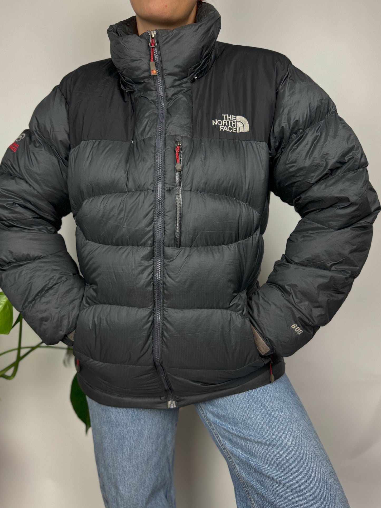 Original The North Face Puffer Jacket Summit Series 800