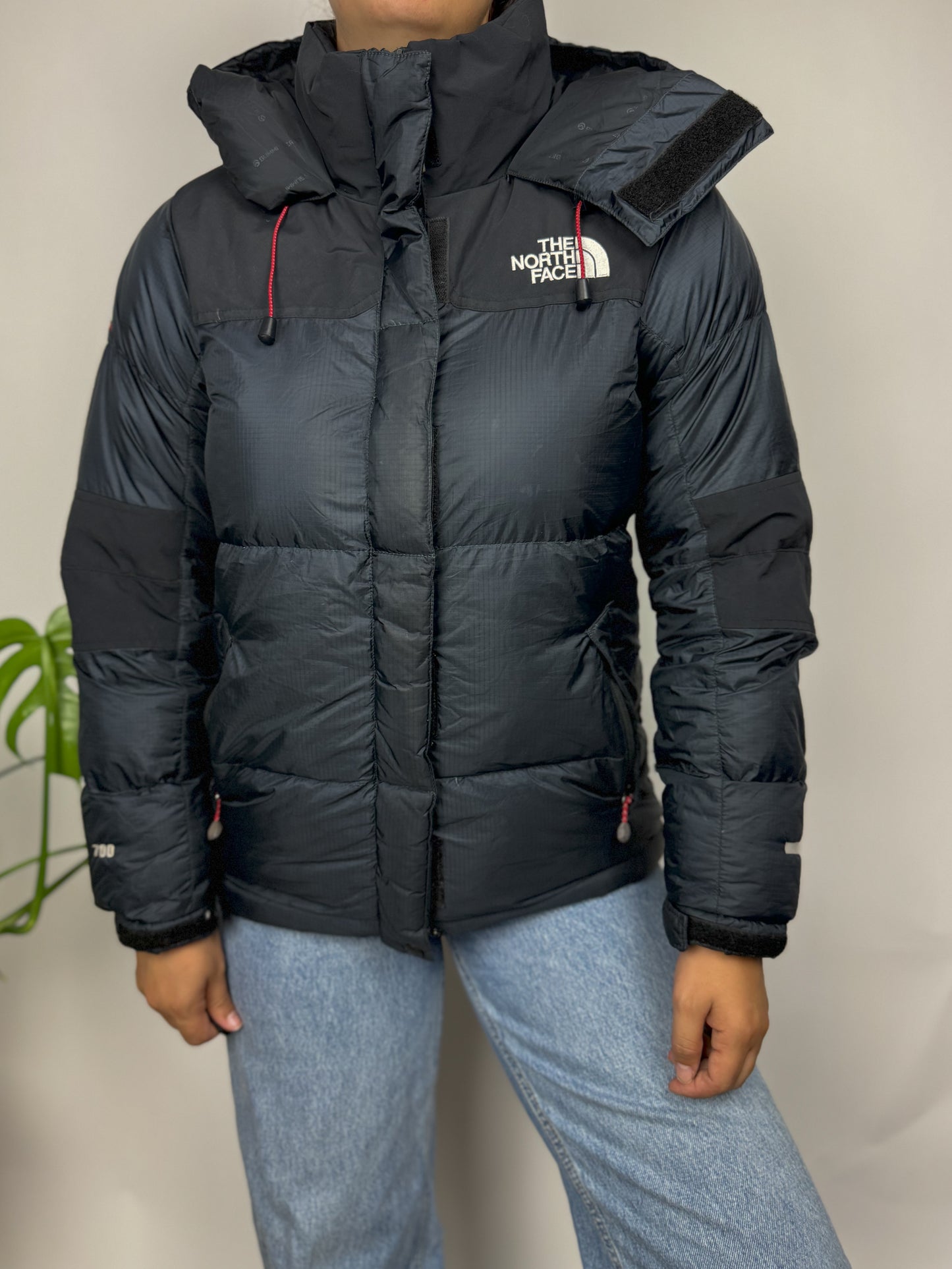 Original The North Face Puffer Jacket Summit Series Windstopper 700