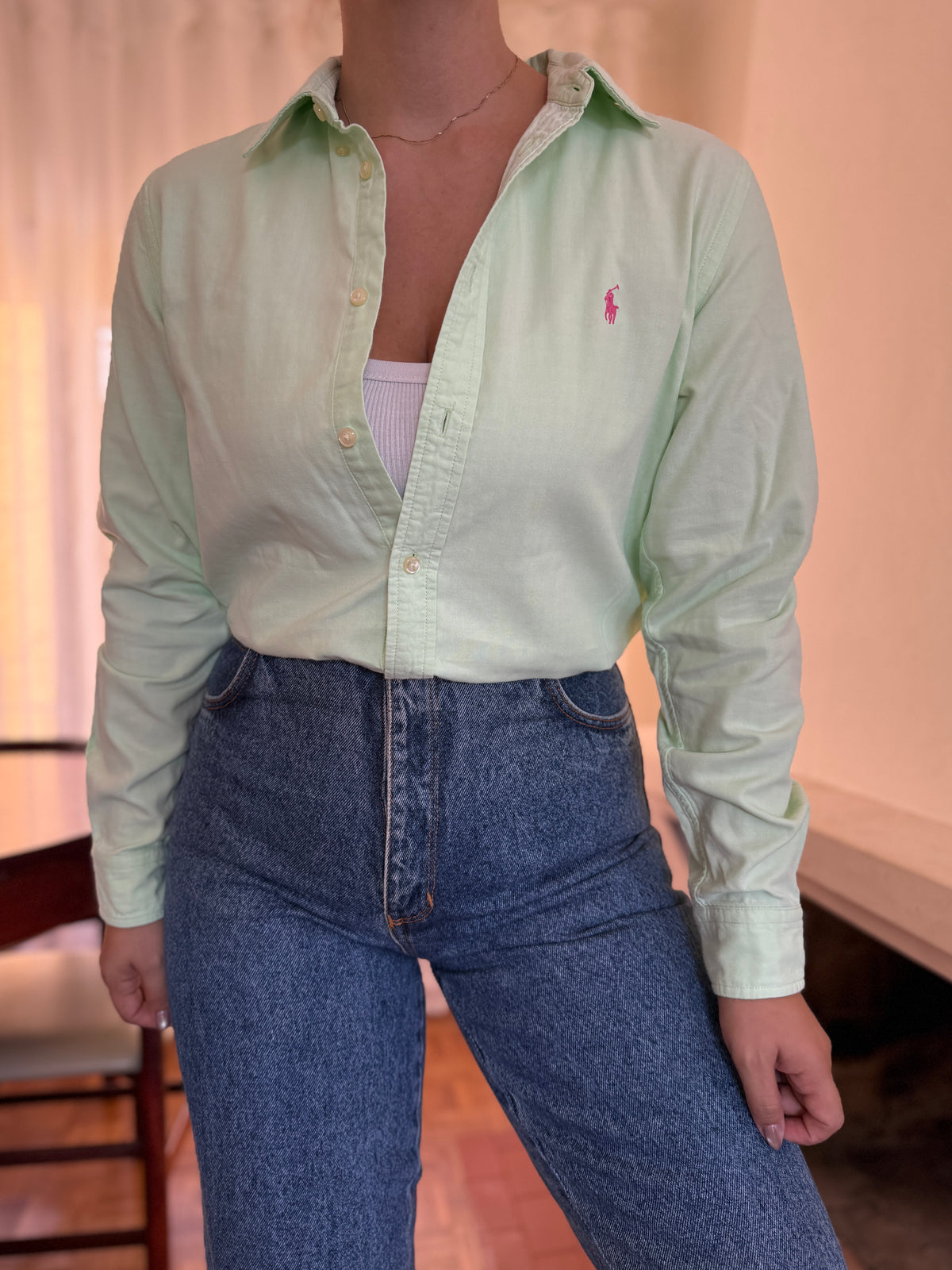 Camisa Ralph Lauren Verde Menta Oxford | Logo Rosa Preppy Classic